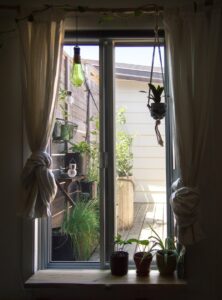 A photograph of a window with plants on the sill and hanging in front of it.