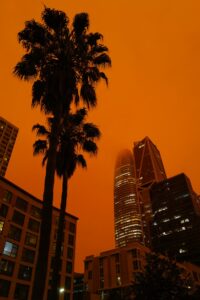 A photograph of a smoky orange skyline with palm trees and tall buildings.