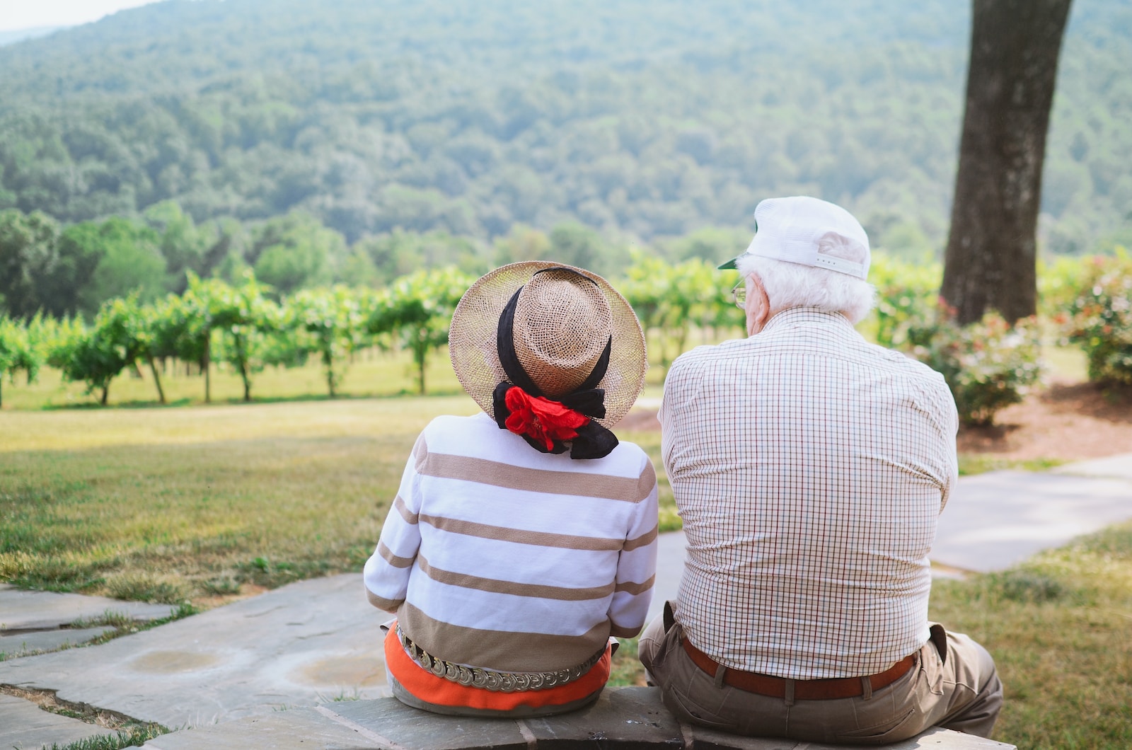 Designing with Care: Room Additions for Aging Parents in Pasadena, CA